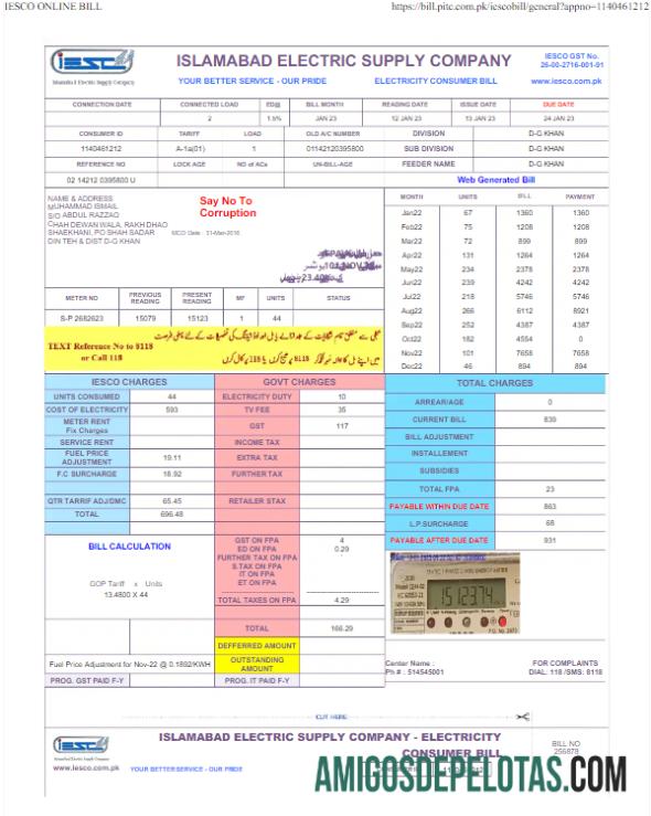 Em branco PAQUISTÃO IESC Conta de Serviços Públicos Word e Modelo PDF